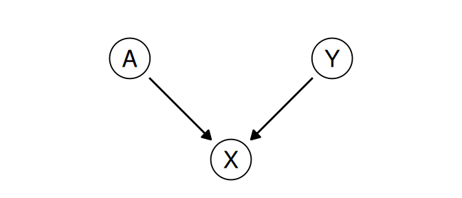 A causal graph: A and Y both point into X.