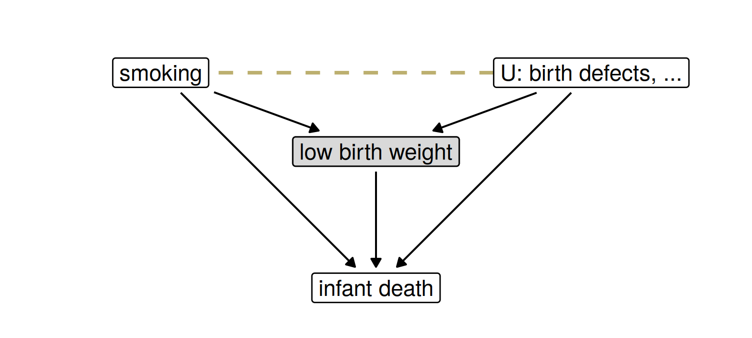 A causal graph in boxes: smoking and U (birth defects and other causes) both point into low birth weight, which is shaded gray; smoking, low birth weight and U all point into infant death; a dashed gold line joins smoking and U.